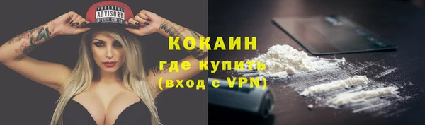 ALPHA PVP Богданович