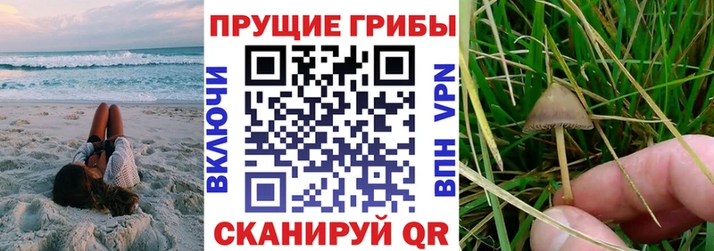 Галлюциногенные грибы Psilocybine cubensis  darknet наркотические препараты  Нарткала  как найти закладки 