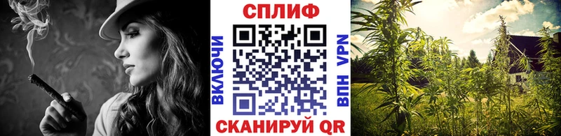 Конопля THC 21%  Нарткала 